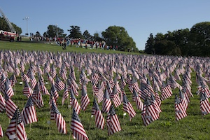 American flags in ground